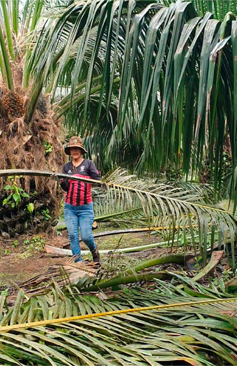 Limpieza-1_Mesa de trabajo 1