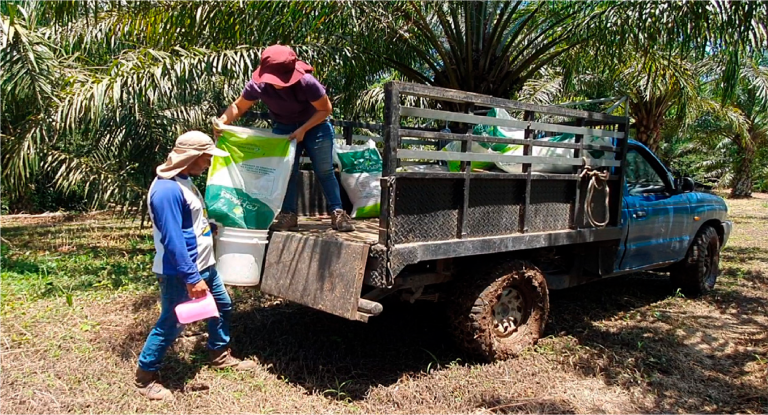 Sin título-1_Mesa de trabajo 1