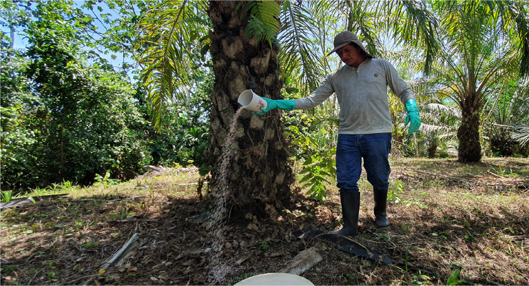 Sin título-2_Mesa de trabajo 1